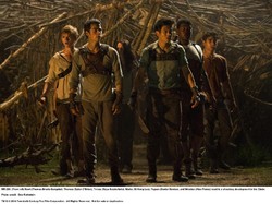 The Maze Runner 4 Nggak Diproduksi, Fans Bikin Film Sendiri