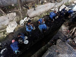 Bakal Beri Sanksi karena Pasukan Biru Sampai Bekasi? SDA DKI: Sabar