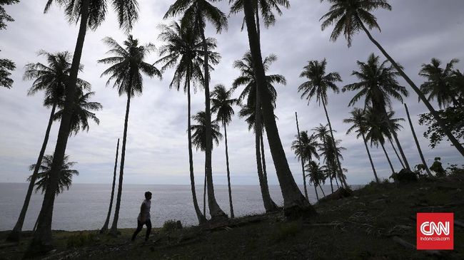 Warga Bali Tersangkut di Pohon Aren 15 Meter saat Sadap Tuak Korban warga Desa Taro, Gianyar, Bali, tersangkut di pohon aren sekitar tiga jam saat menyadap tuak. Lokasi pohon itu berada di tepi jurang.