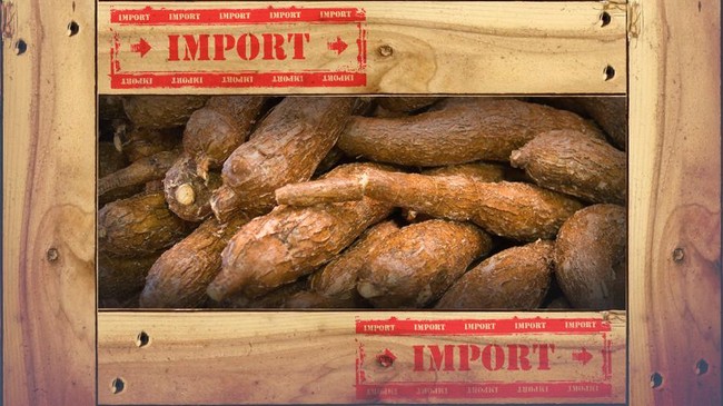 Perppu Ciptaker menghapus larangan impor komoditas pertanian stok dalam negeri terpenuhi, yang sebelumnya dilarang UU Perlindungan dan Pemberdayaan Petani.
