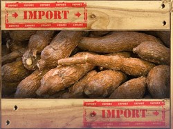 Impor Singkong -Tapioka Mau Dipajaki Agar Petani Tak Merana