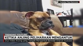 Video Terpopuler Youtube