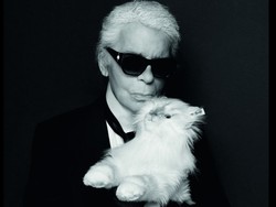 Warisan Karl Lagerfeld Rp 6,4 T Belum Dibagi, Akuntan Menghilang