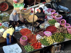 Orang Biasa Pintar Hadapi Corona