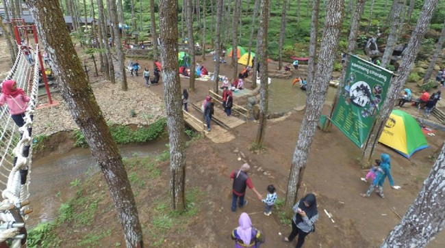 Destinasi wisata baru di Tanjungsari, Sumedang, ini menawarkan wana wisata yang sejuk dan indah. Apa saja yang bisa dinikmati di sana?