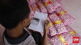Kementan Tuding 34 Importir Bawang Putih Tak Sesuai Aturan