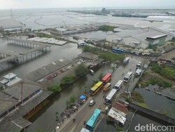 Semarang Tenggelam 50 Tahun Lagi, Pekalongan Ambles 0,5 Cm Per Bulan