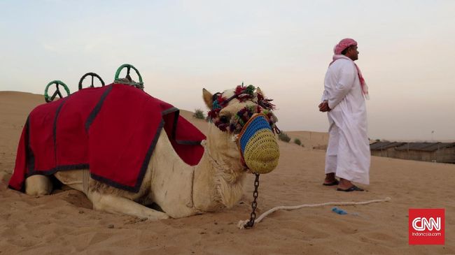 Dubai tak melulu gurun pasir. Ada banyak objek wisata kekinian yang bisa dijelajahi di sana, bahkan hanya dalam waktu semalaman.