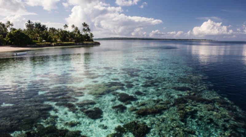 Kementerian Lingkungan Hidup dan Kehutanan bersama United Nations Development Programme menyusun The Magnificent Seven: Indonesia Marine National Park. 