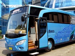 Beredar Tawaran Mudik Pakai Big Bird, Blue Bird Buka Suara
