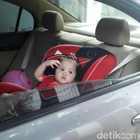 Cara memasang car seat pliko online