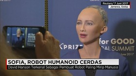 Robot Cerdas Mirip Manusia