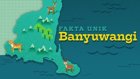 Fakta Menarik Banyuwangi
