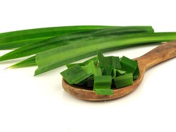 7 Manfaat Daun Pandan yang Kerap Dijadikan Bahan Masakan