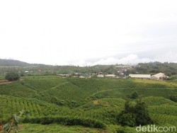 9 Tempat Wisata Malino yang Wajib Dikunjungi Saat Liburan