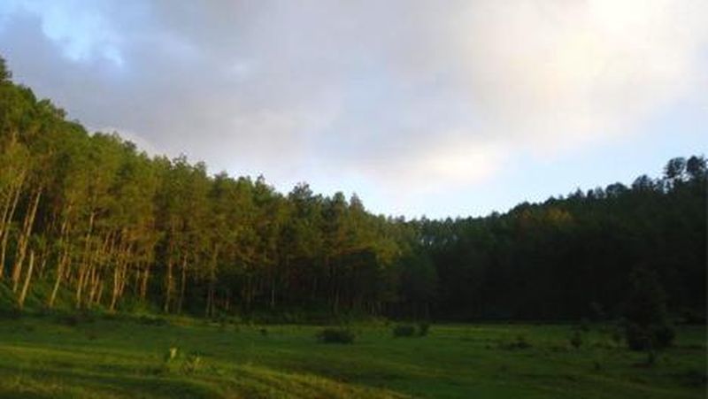 Ada satu kawasan di Ponorogo yang memiliki potensi wisata dan layak dikunjungi wisatawan.