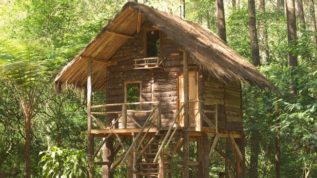 Sebagai hutan buru, Kareumbi belum siap. Lantas apa yang dilakukan pengelola? Selain berburu, kamu bisa mendapatkan apa di hutan ini?