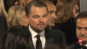 Leonardo DiCaprio Jadi Penyelamat Lumba-lumba