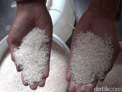 Pemerintah Klaim Beras Surplus 2,5 Juta Ton, Tertinggi dalam 7 tahun