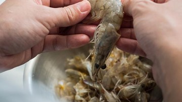 Cara Mengupas dan Membersihkan Kotoan Udang