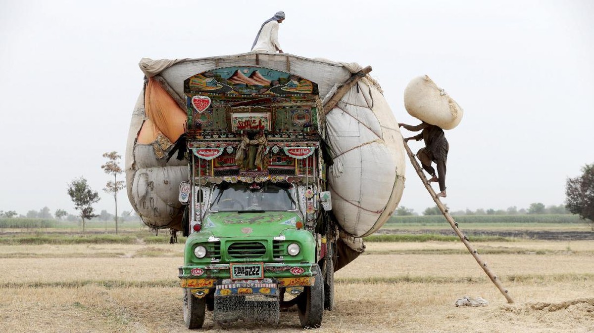 Kisah Kebanggaan di Lukisan 'Santun' Truk-truk Pakistan