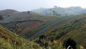 Menengok Sentak Dulang dan Kesulitan di Balik Bukit nan Indah
