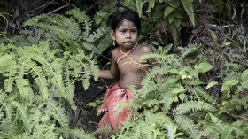 Karantina dalam Kearifan Lokal Orang Rimba Jambi Cegah Wabah