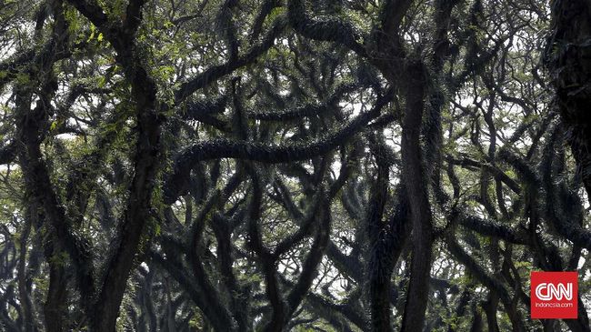 Para pengelola kawasan lindung diajarkan cara pandai dalam menceritakan keistimewaan kawasan yang dikelola.