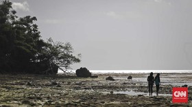 Pantai Plengkung Terpilih Jadi Lokasi Liga Surfing Dunia