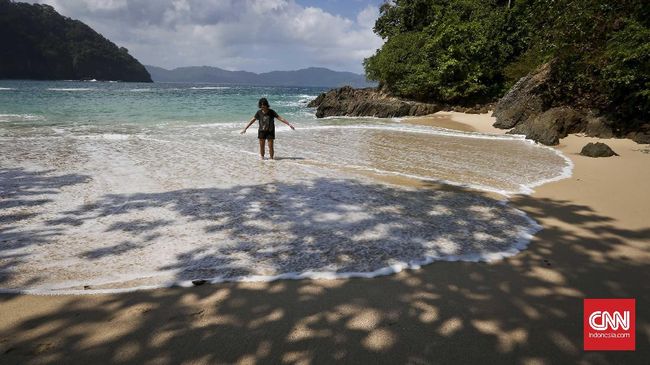 Pemerintah melalui Kementerian Pariwisata mendorong pertumbuhan homestay di Banyuwangi untuk mengembangkan desa-desa wisata.