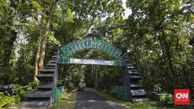 Taman Nasional Alas Purwo: Lokasi, Harga Tiket, Daya Tarik Wisata