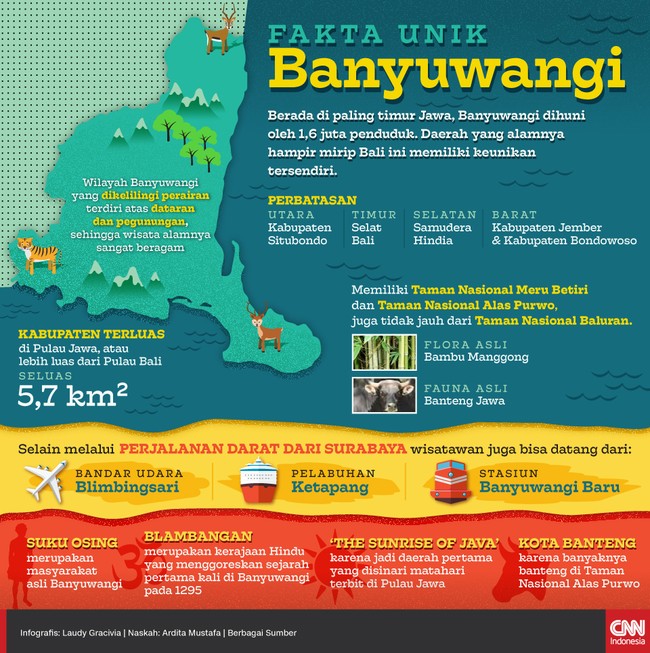 Berada di paling timur Jawa, Banyuwangi dihuni oleh 1,6 juta penduduk. Daerah yang alamnya hampir mirip Bali ini memiliki keunikan tersendiri.