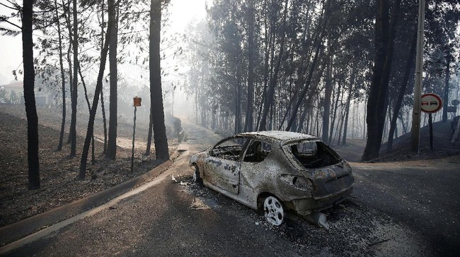 Kebakaran hutan di Portugal sejak Sabtu (17/6) telah menewaskan 62 orang sampai hari ini. Kebanyakan tewas di dalam mobil saat hendak mengungsi.