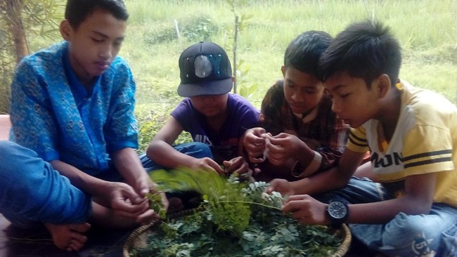 Inilah cara terbaik mendorong kemajuan bangsa melalui sektor pertanian. Sejak remaja diperkenalkan sains ilmiah tentang tanaman dan pertanian.