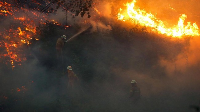 Kebakaran hutan meluas di Provinsi British Columbia, Kanada. Sebanyak 220 titik api tersebar dan kawasan yang terbakar kini meluas jadi 24 ribu hektar.