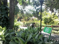 Segarkan Mata di 10 Taman Surabaya Yuk, Bagus dan Banyak Spot Fotonya Loh