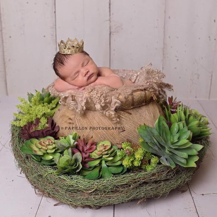 <p>10 Mei 2017 lalu, pasangan Nia Ramadhani dan Ardie Bakrie dikaruniai anak kedua. Keimutan bayi Magika Zalardi Bakrie diabadikan dalam foto juga nih Bun. Magika lucu banget, tidur di sarang burung dengan memakai mahkota layaknya baby prince. Kalau lihat Magika kayak gitu rasanya pengen nyubit saking gemasnya. (Foto: Instagram @ramadhaniabakrie/ papilon photography).</p>