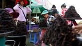 Uji Nyali Menyantap Laba-Laba di Kamboja Di Kampong Thom, Kamboja, laba-laba menjadi menu makanan populer dan kerap disajikan sebagai camilan atau bahkan manisan. Berani mencoba?