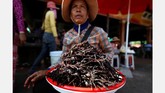 Uji Nyali Menyantap Laba-Laba di Kamboja Di Kampong Thom, Kamboja, laba-laba menjadi menu makanan populer dan kerap disajikan sebagai camilan atau bahkan manisan. Berani mencoba?