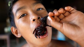 Uji Nyali Menyantap Laba-Laba di Kamboja