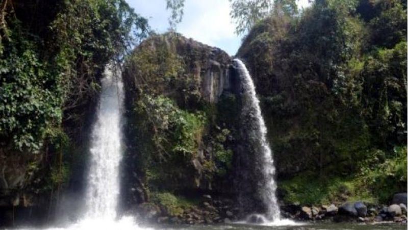 Untuk Anda yang mudik ke Tegal atau melewati Tegal, luangkanlah waktu sejenak untuk melihat keindahannya.