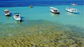 Bira Beach Run, Kompetisi Lari Berlatar Pantai Bira
