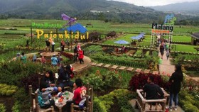 Libur Lebaran Kunjungi 10 Desa Wisata Malang Ini