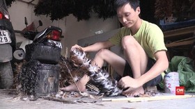 Kemoceng Bulu Ayam Terancam Jadi 'Butiran Debu'