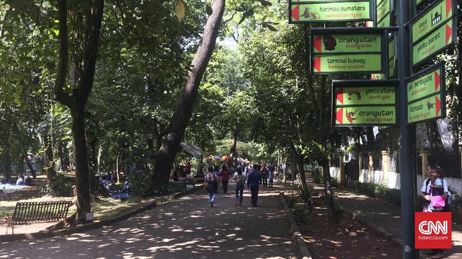 Pengunjung Taman Margasatwa Ragunan diprediksi membeludak pada H+2 hingga H+4 Idul Fitri 2017. Pengelola telah mengantisipasi lonjakan pengunjung.