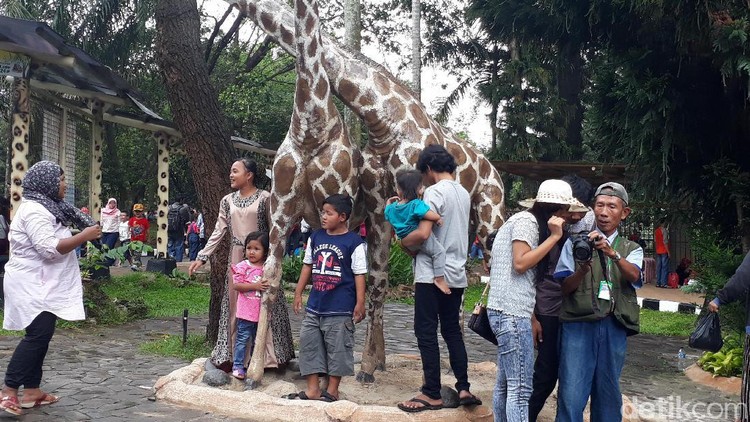 Nggak cuma untuk 'family bonding' ada sederet manfaat nggak terduga saat kita ajak anak mengunjungi kebun binatang, Bun.