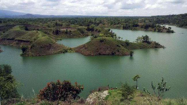 Undakan bukit di tengah perairan di Waduk Bajulmati, Jawa Timur, disebut mirip Raja Ampat oleh masyarakat sekitar.