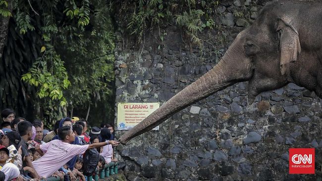 Taman Margasatwa Ragunan menjadi salah satu contoh tempat wisata yang harga tiketnya bisa dijangkau turis dari segala kalangan.
