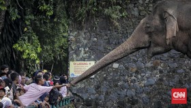 Alasan 'Lebaran di Ragunan' Selalu Jadi Wisata Favorit