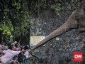 Alasan 'Lebaran di Ragunan' Selalu Jadi Wisata Favorit